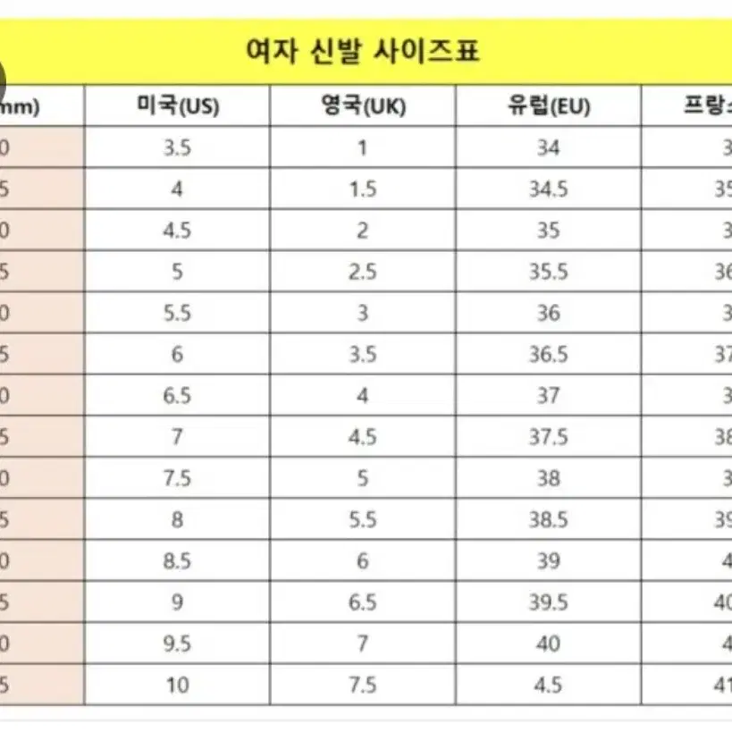 라코스테 ㅡ > 235-240 사이즈