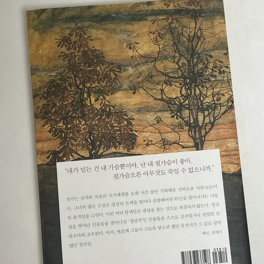 한강 채식주의자 초판