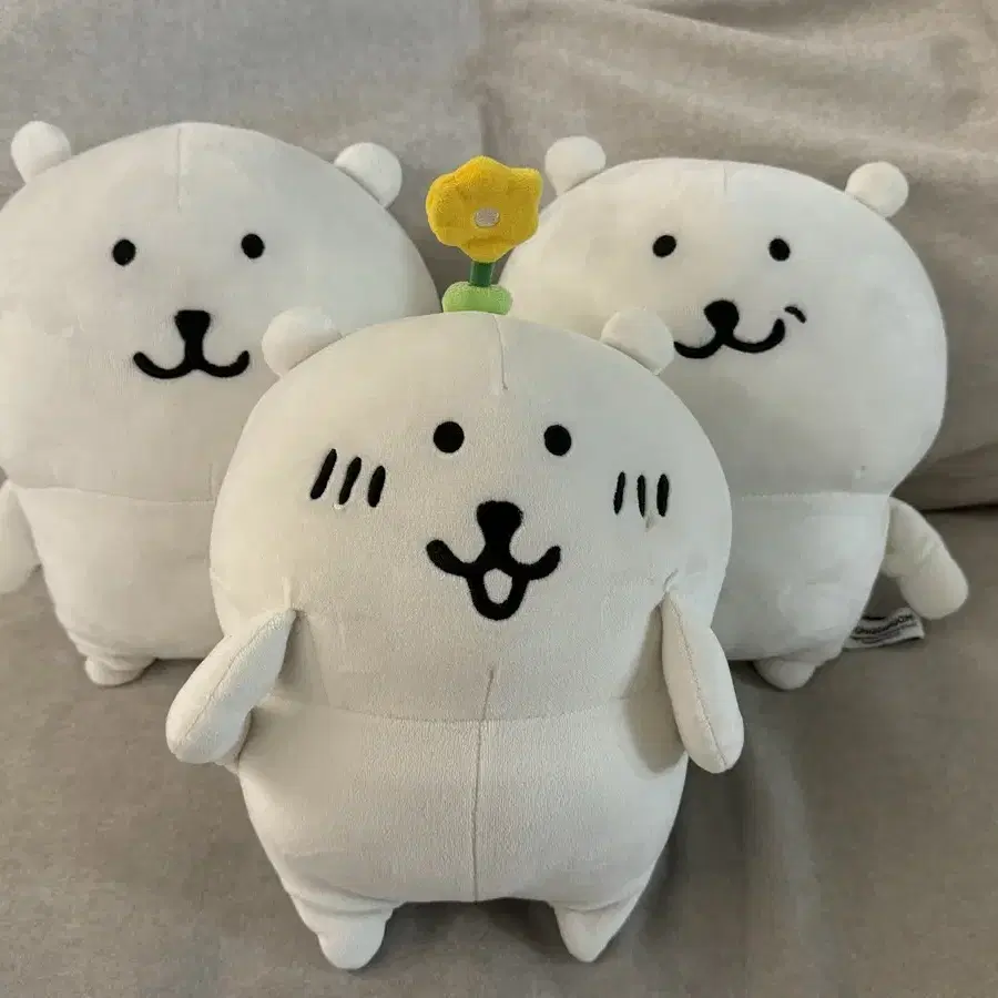 농담곰 중형 인형 일괄