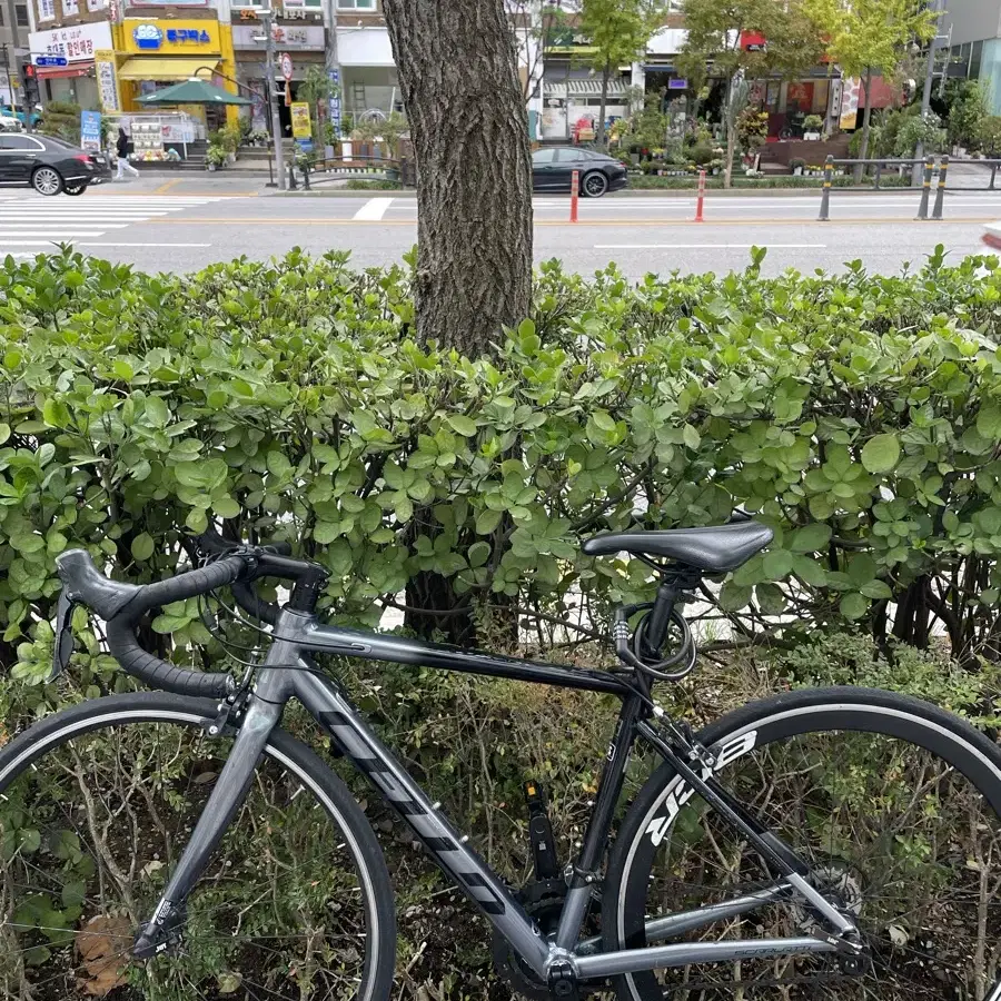 삼천리 첼로 로드 자전거