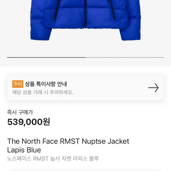 노스페이스 RMST 눕시라피스블루 L