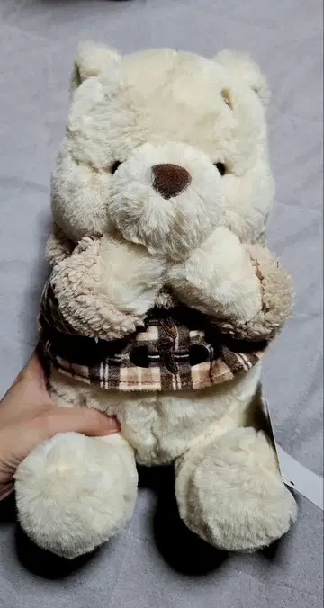 디즈니 푸우 모카 컬러 봉제 인형 M 사이즈 M사이즈 디즈니 스토어