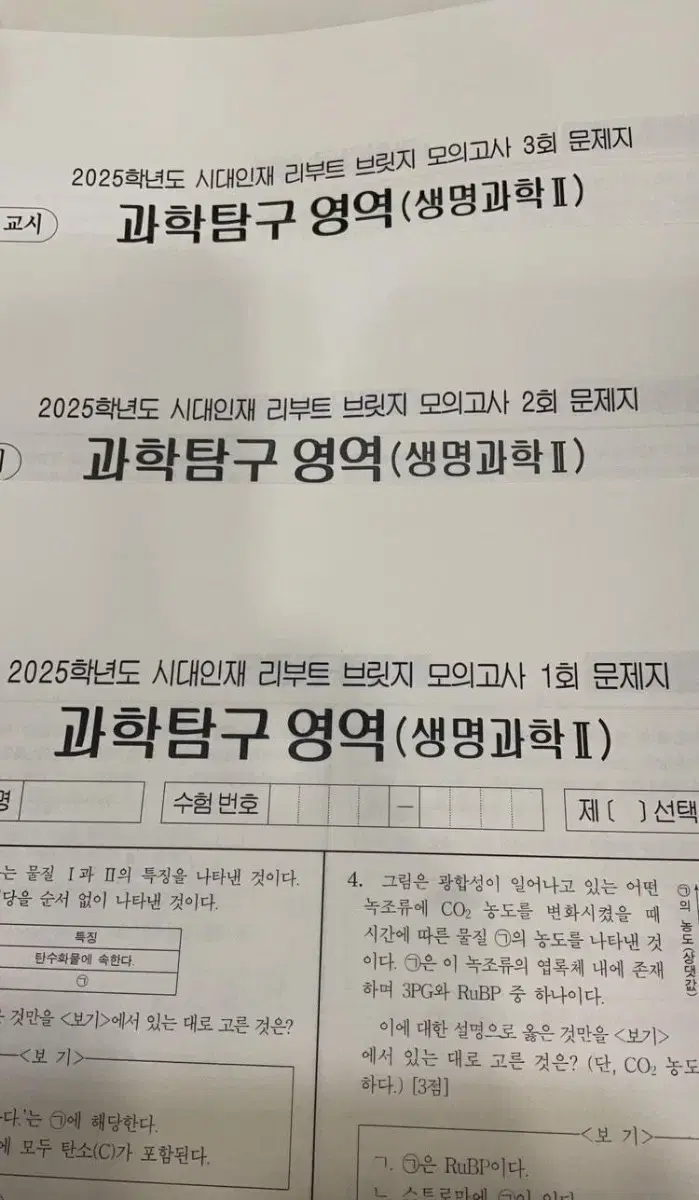 2025 시대인재 리부트 브릿지 생2