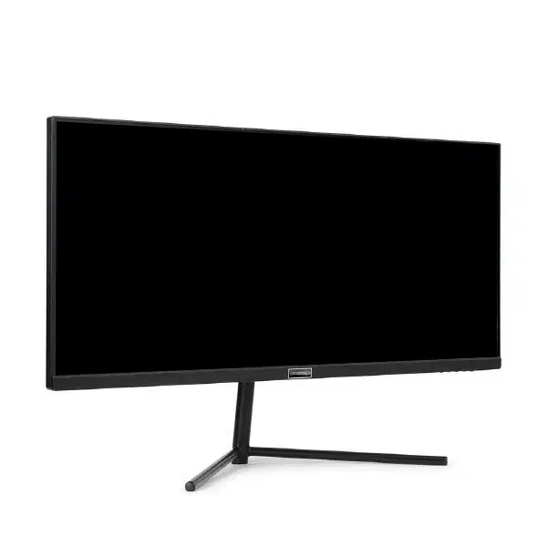 WFHD 평면형 IPS 30인치 100Hz 게이밍모니터