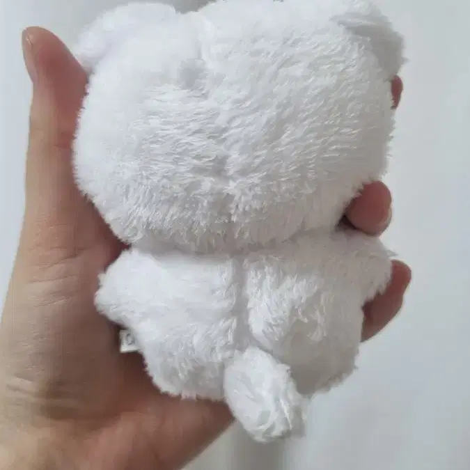 뭉래 김태래 인형 10cm(모자포함,최애포카한장넣어드림)