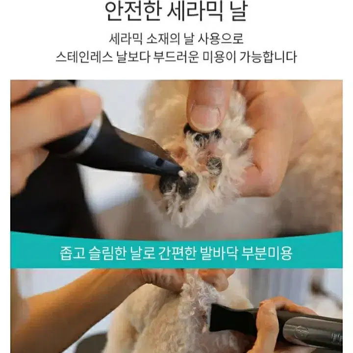 새제품 풀박 무선 애견 이발기 바비온 풋마스터 반려동물 BCG-22