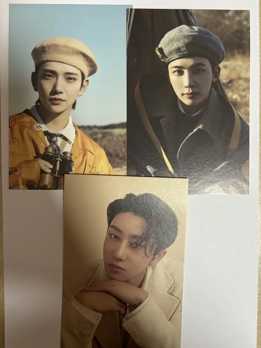 Seventeen Feathersun Your Choice postcard sells postcards.