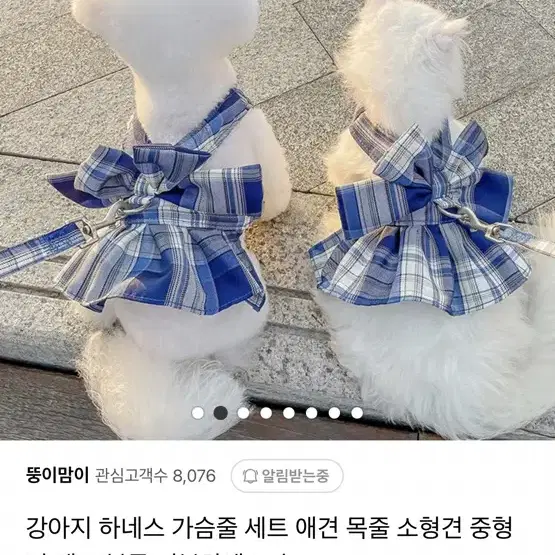 강아지 하네스