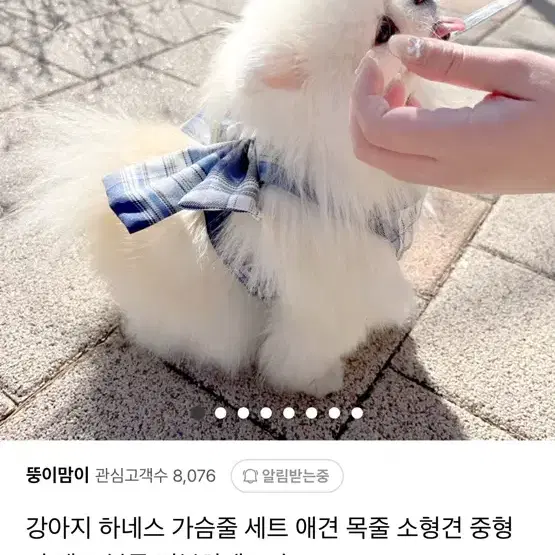 강아지 하네스