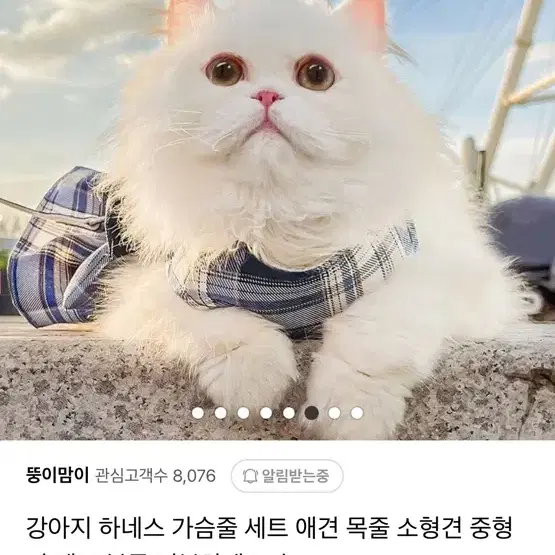 강아지 하네스