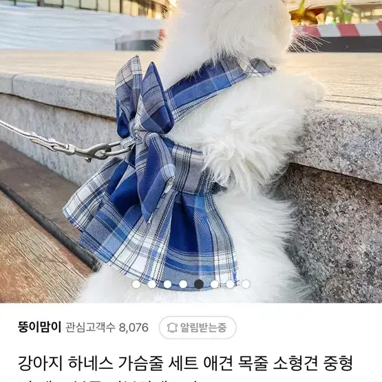 강아지 하네스