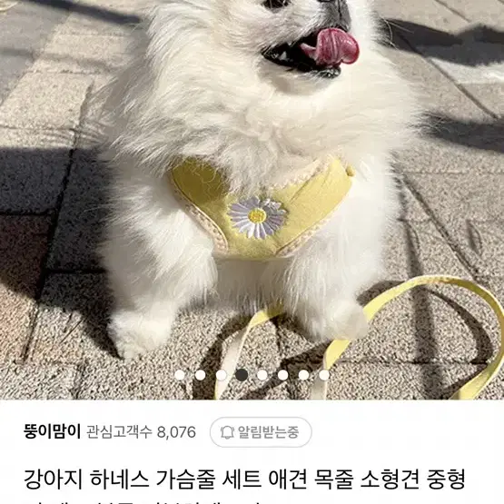 강아지 하네스