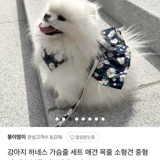 강아지 하네스