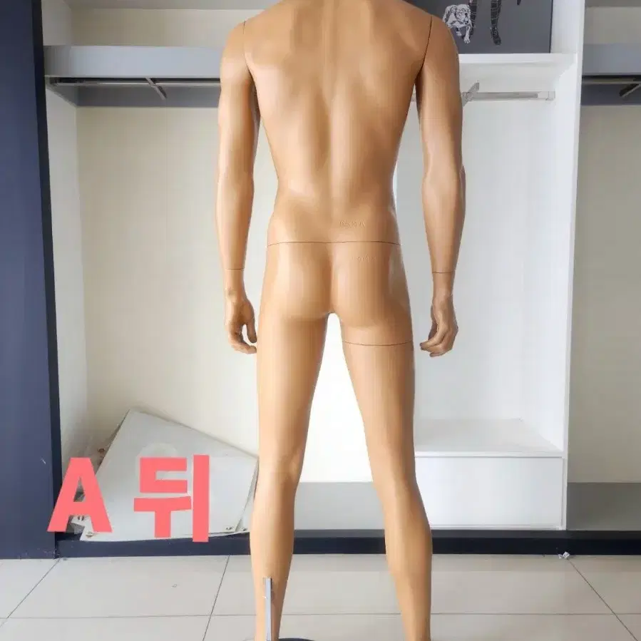 남성형마네킹