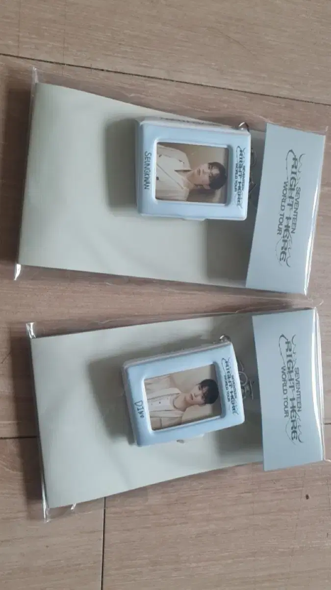 Seventeen Mini Collect Book