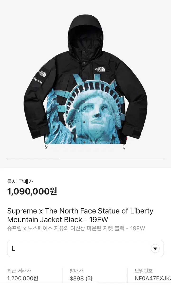 Supreme x The North Face Goddess JacketL