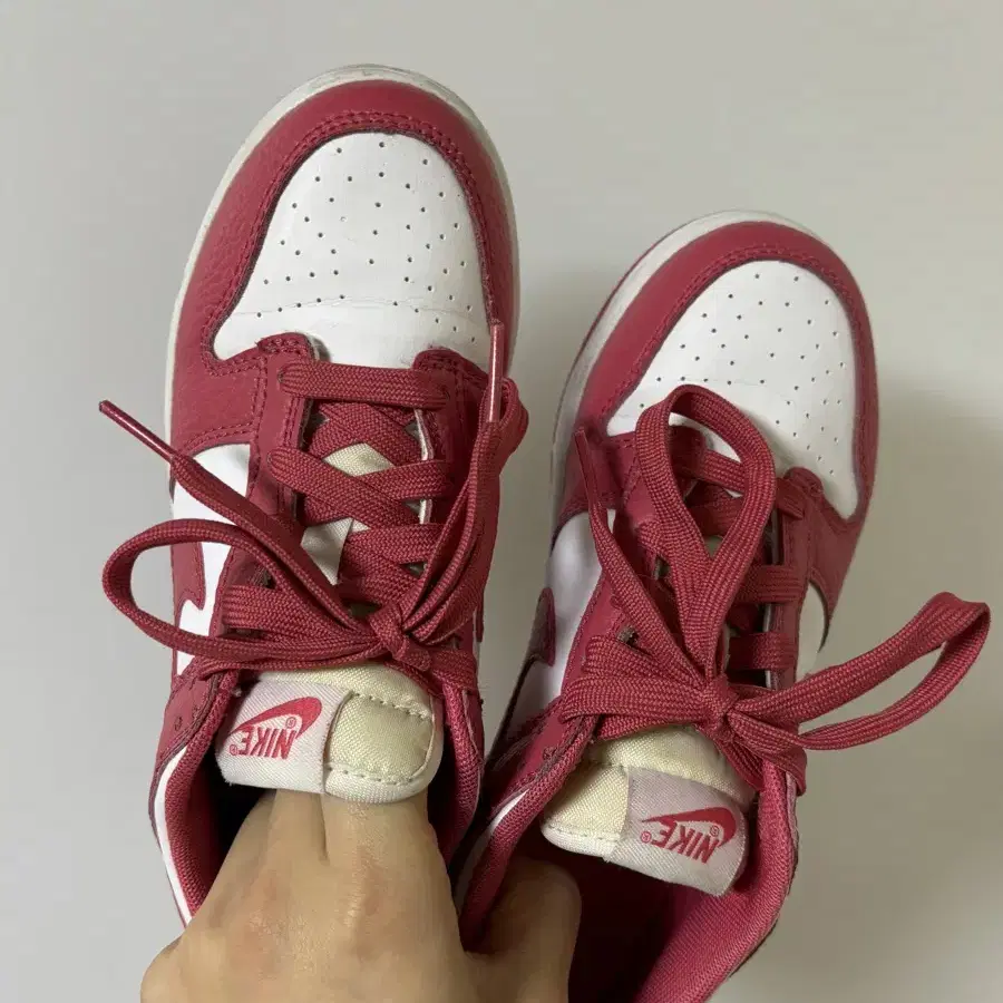 Nike Dunk Low Archeo Pink 215사이즈