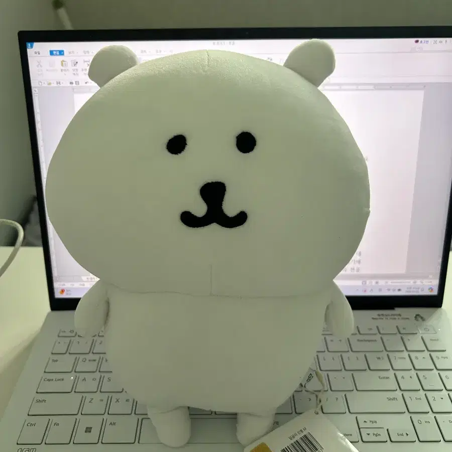 농담곰 30cm 인형