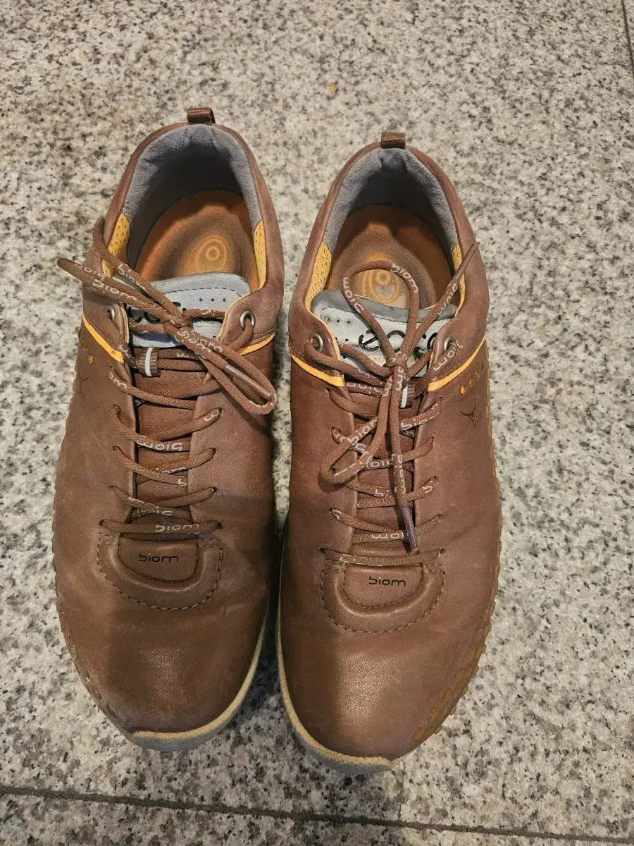 EcoGolf Shoes