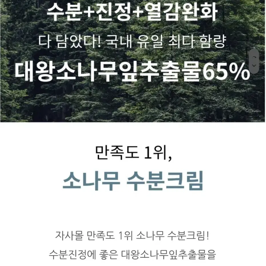 정제수X대왕소나무잎65%속건조 홍조 여드름 민감성 피부 수분 진정 크림