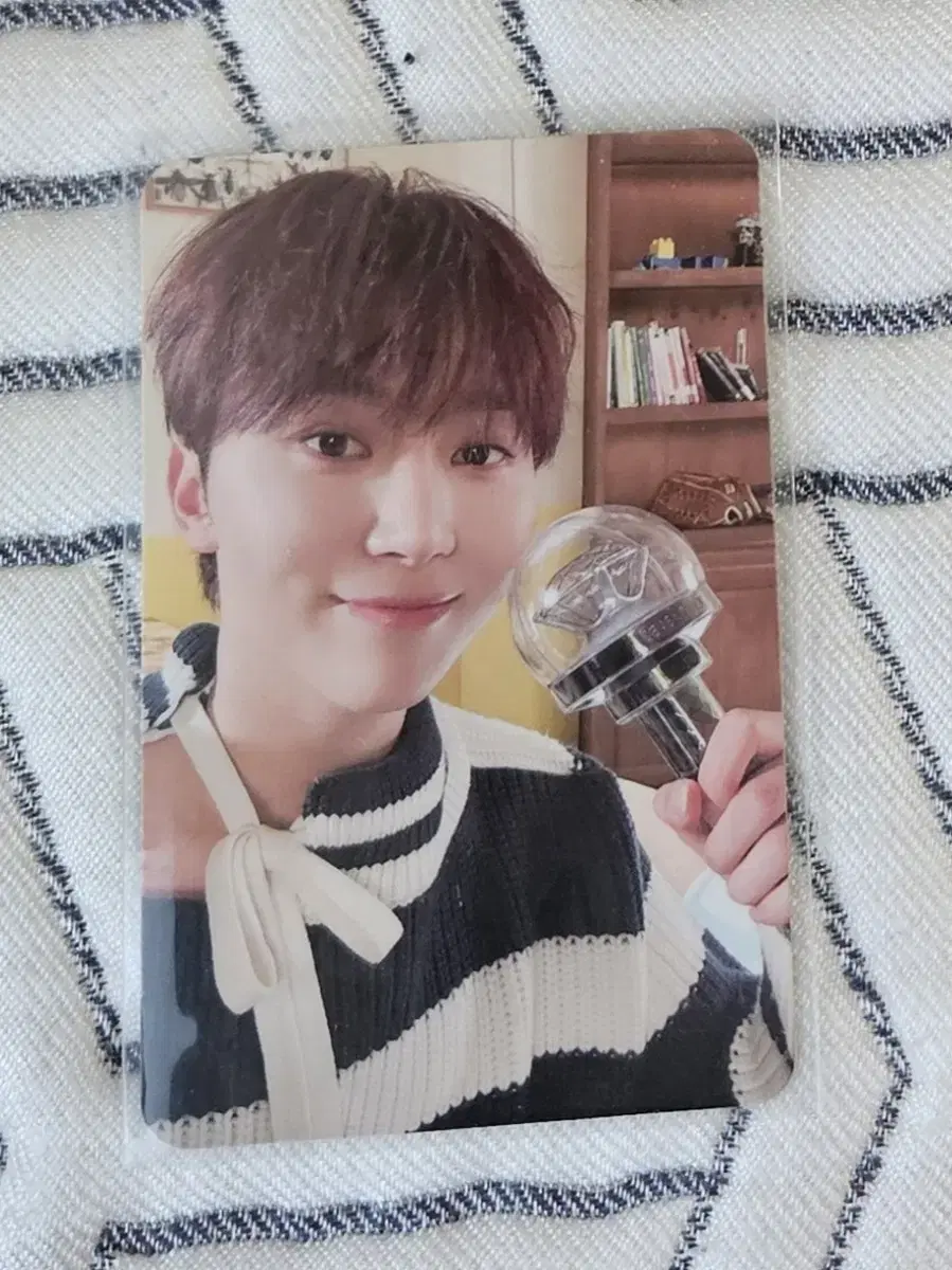 2024 Carrotland seungkwan Carrot Zone