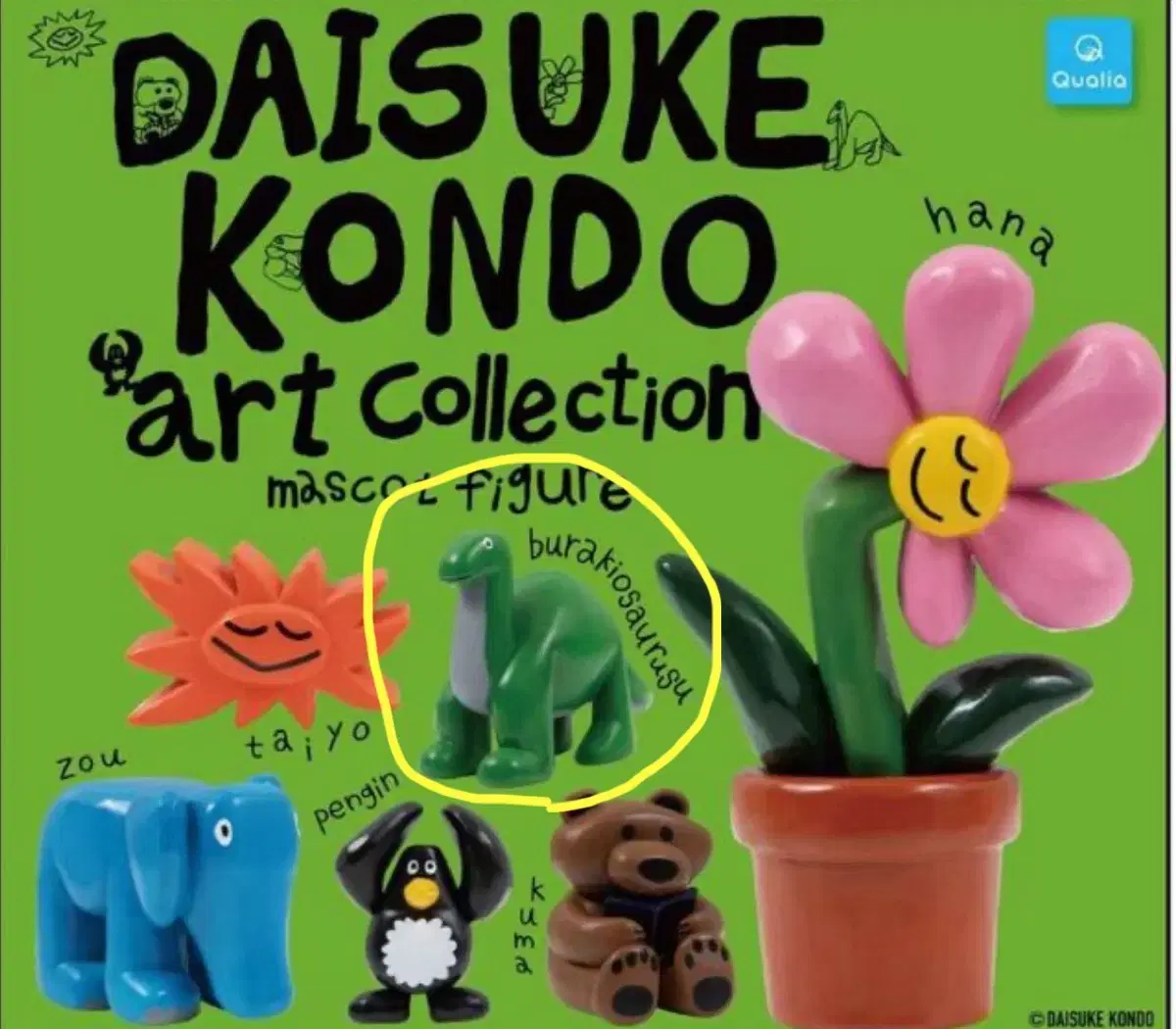 DAISUKE KONDO 공룡 (택포)