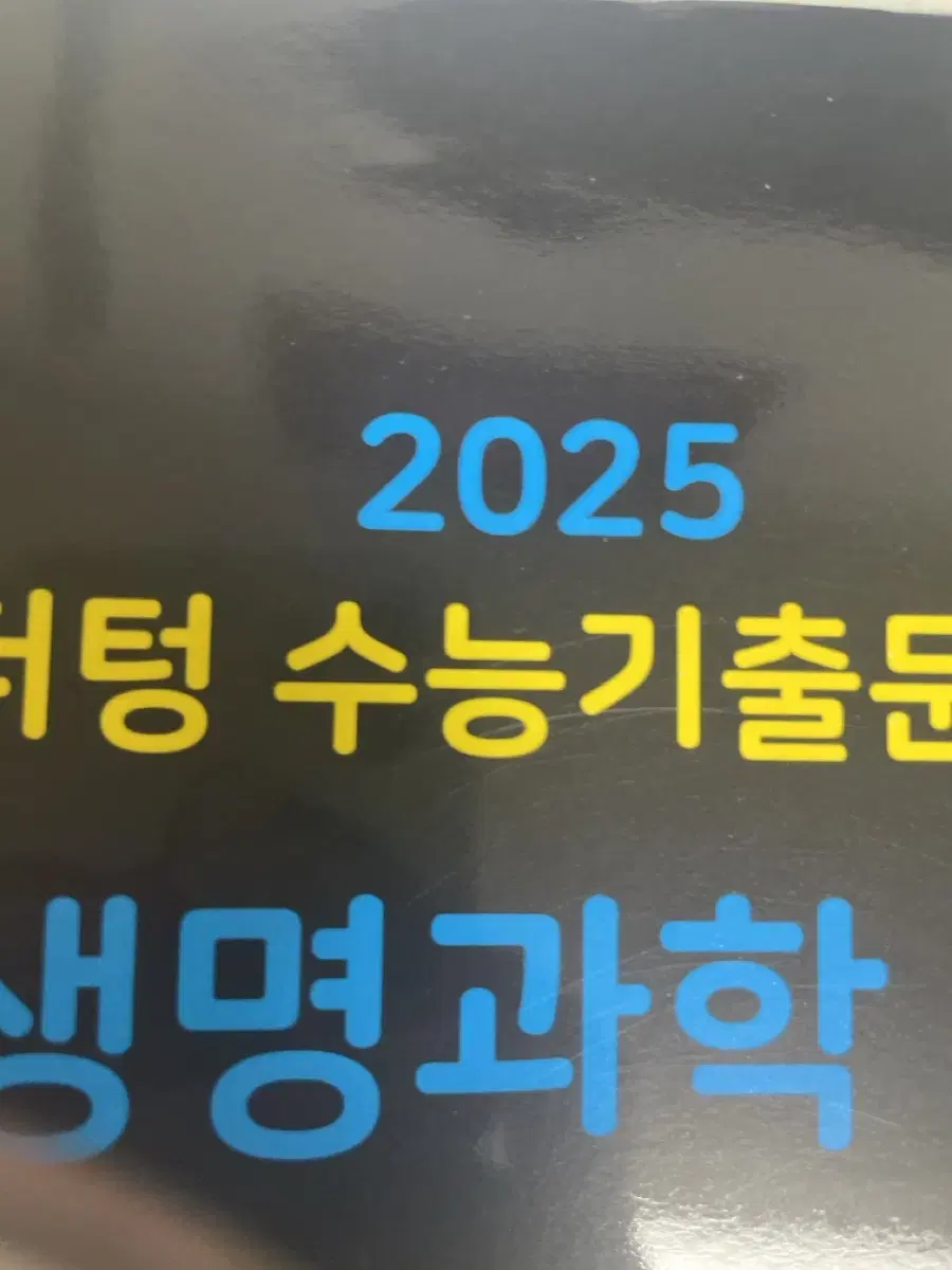 2025마더텅생명1 급처