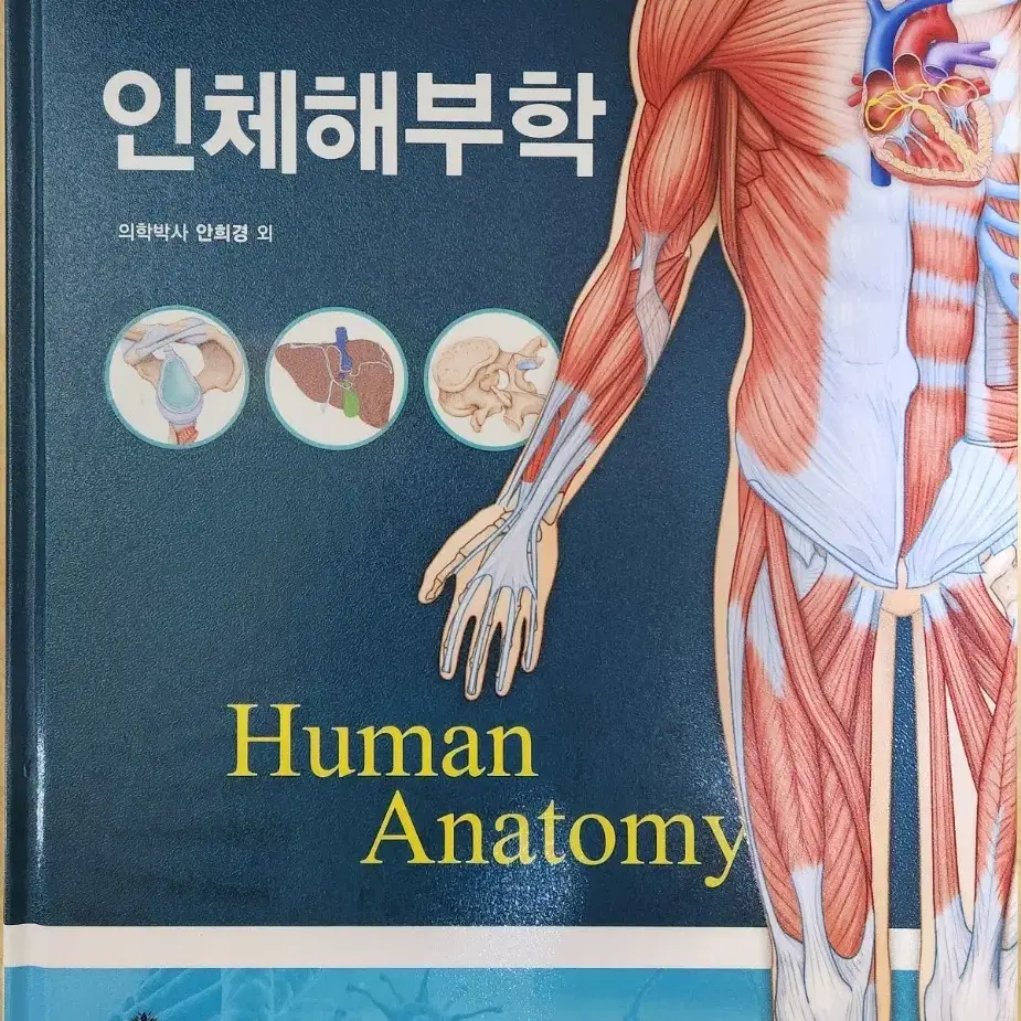 인체해부학(고문사)