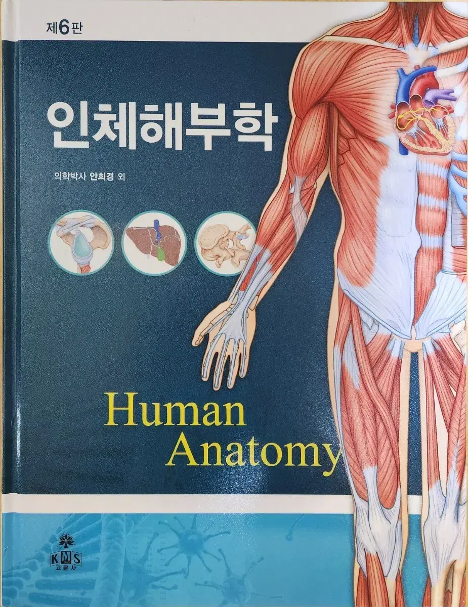 인체해부학(고문사)