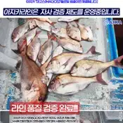 감성돔낚시 참돔낚시 벵에돔낚시 최강원줄 200미터 플로팅원줄 (무료배송)