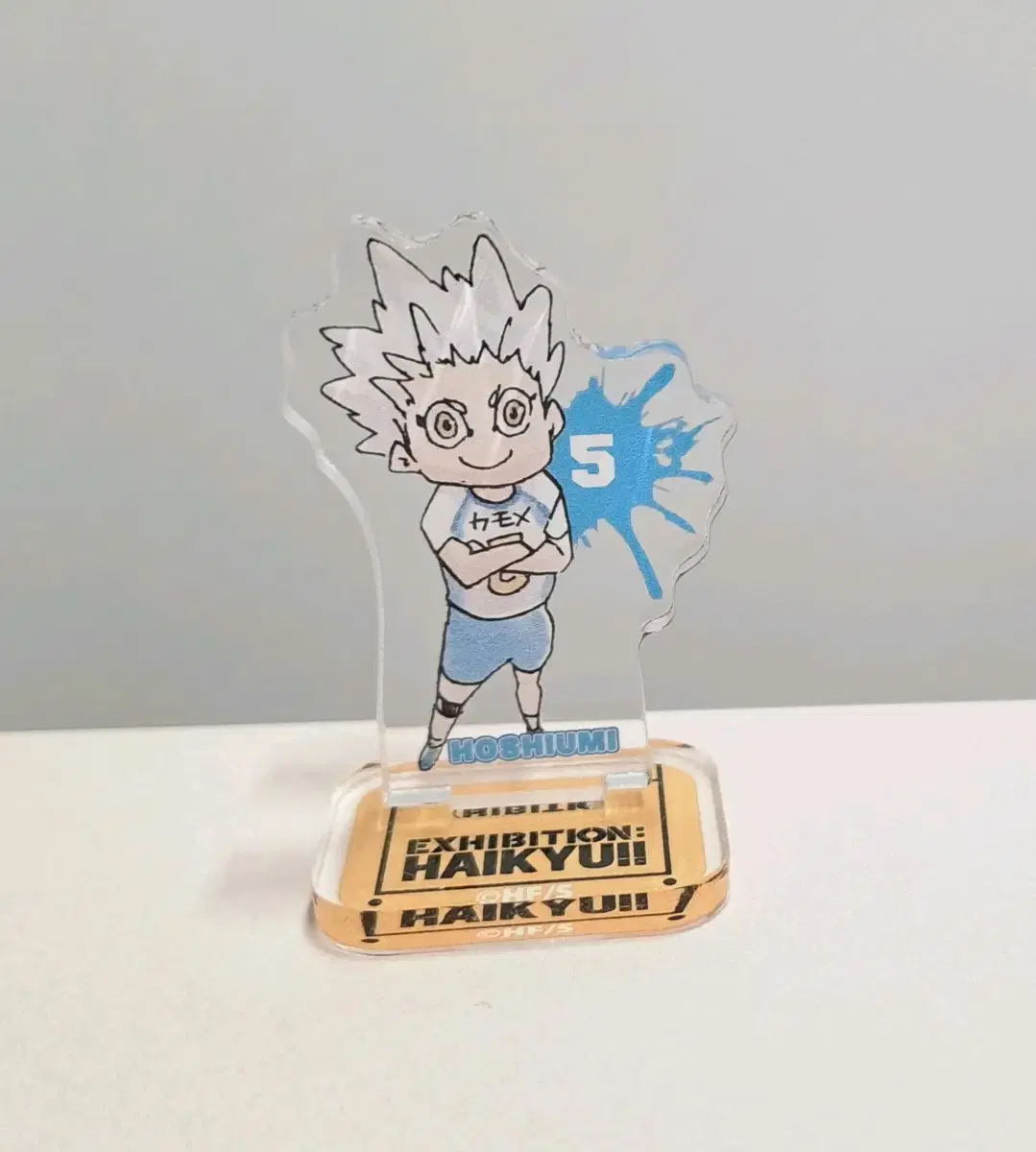 Haikyuu Hoshiumi One Piece Mini Acrylic