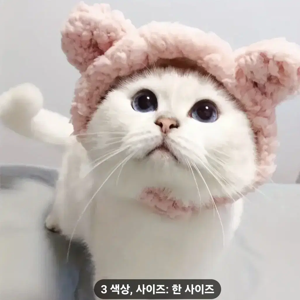 강아지냥이모자