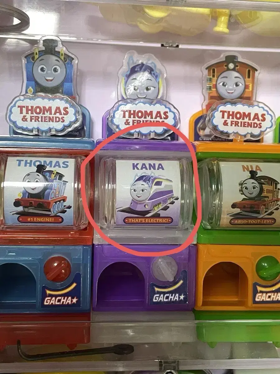 Thomas Gacha (Purple Character) Unsealed