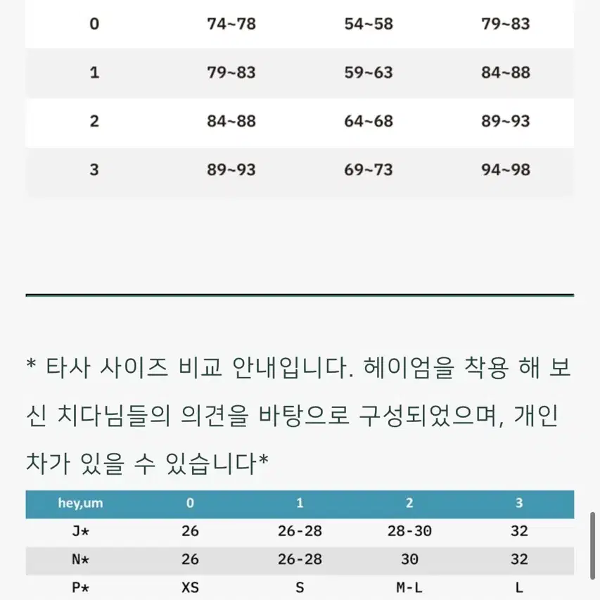 헤이엄 수영복 깅엄퍼플