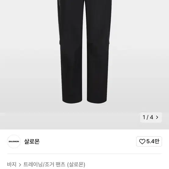 살로몬 남성 등산바지 2xl