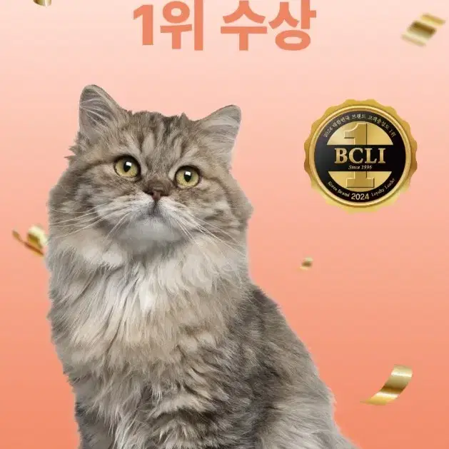 번개최저가 캐츠랑 전연령비타플러스5KGX2개 총10KG 20990