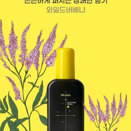 택포3500원 미백&주름개선 올인원 크림 150ml