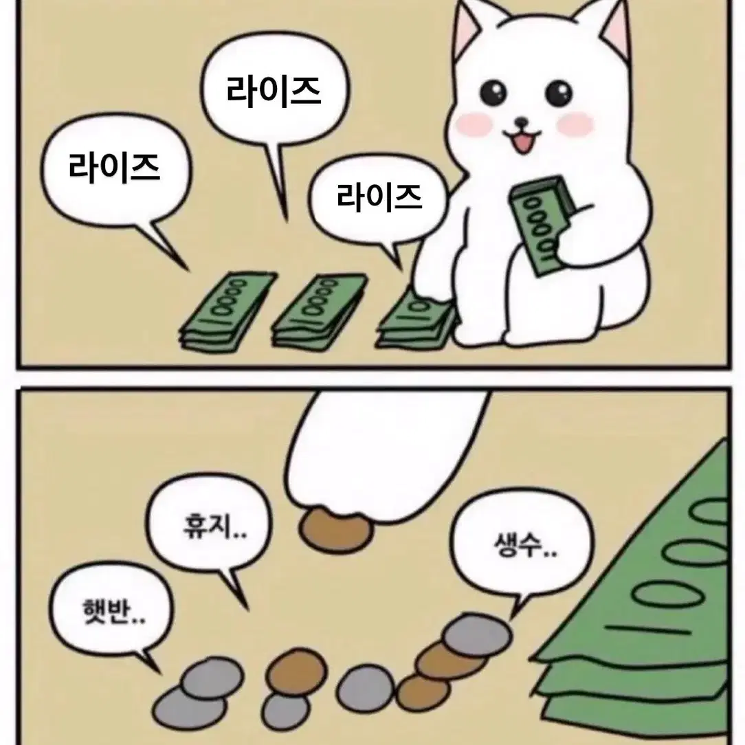 라이즈 시그 분철 앤톤 가능