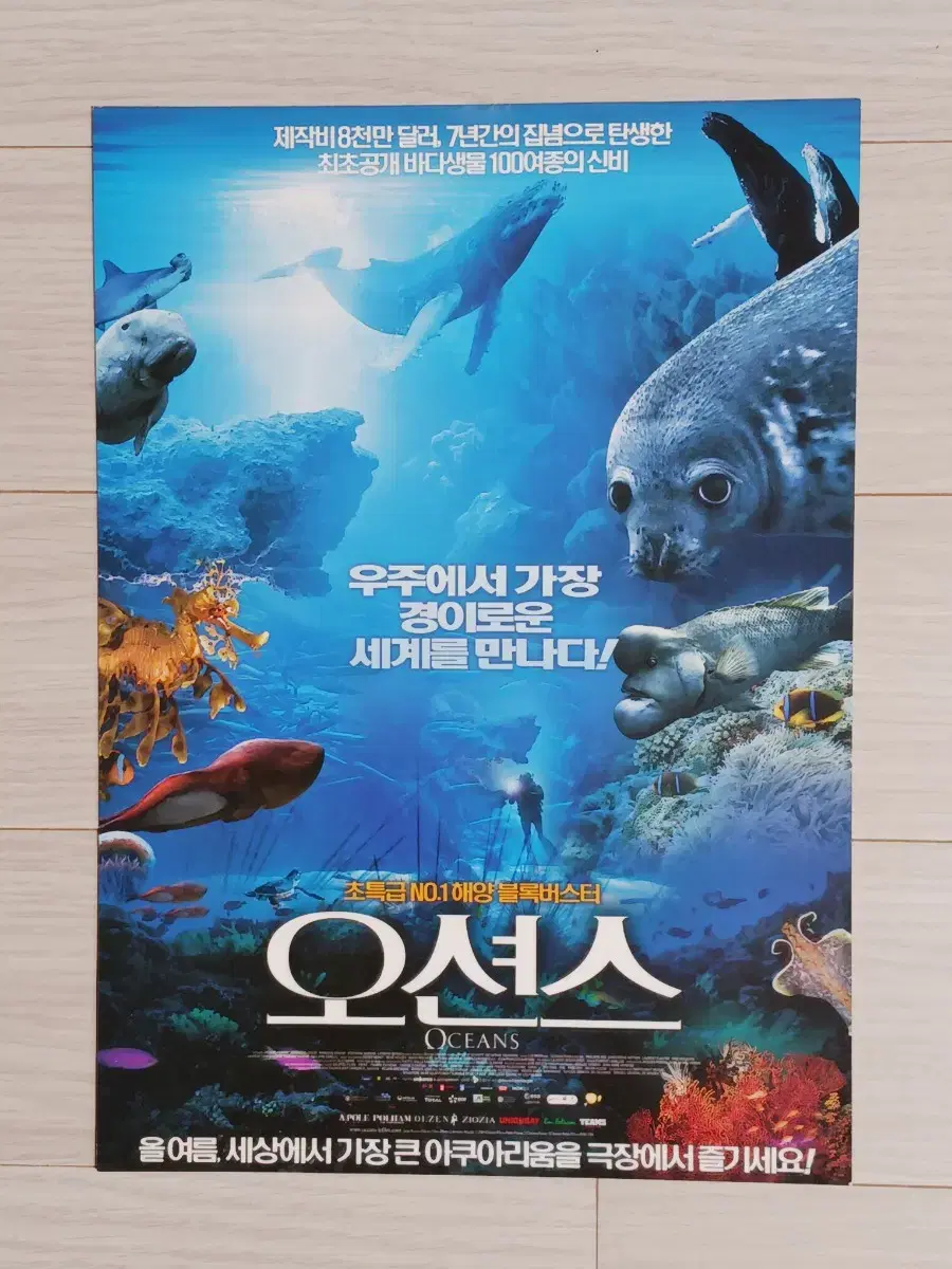 Flyer for Oceans (2010)