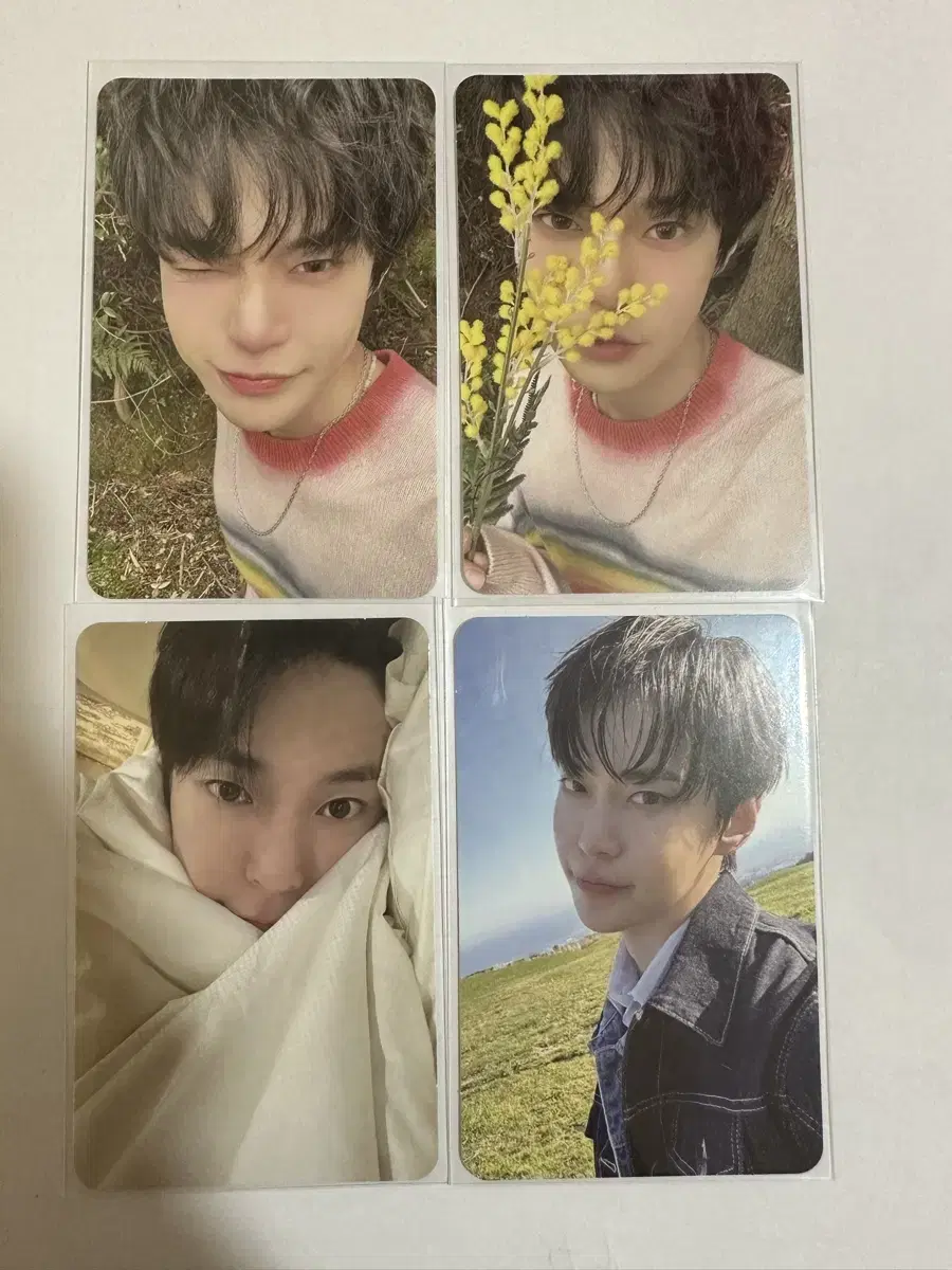 nct doyoung photocard wts