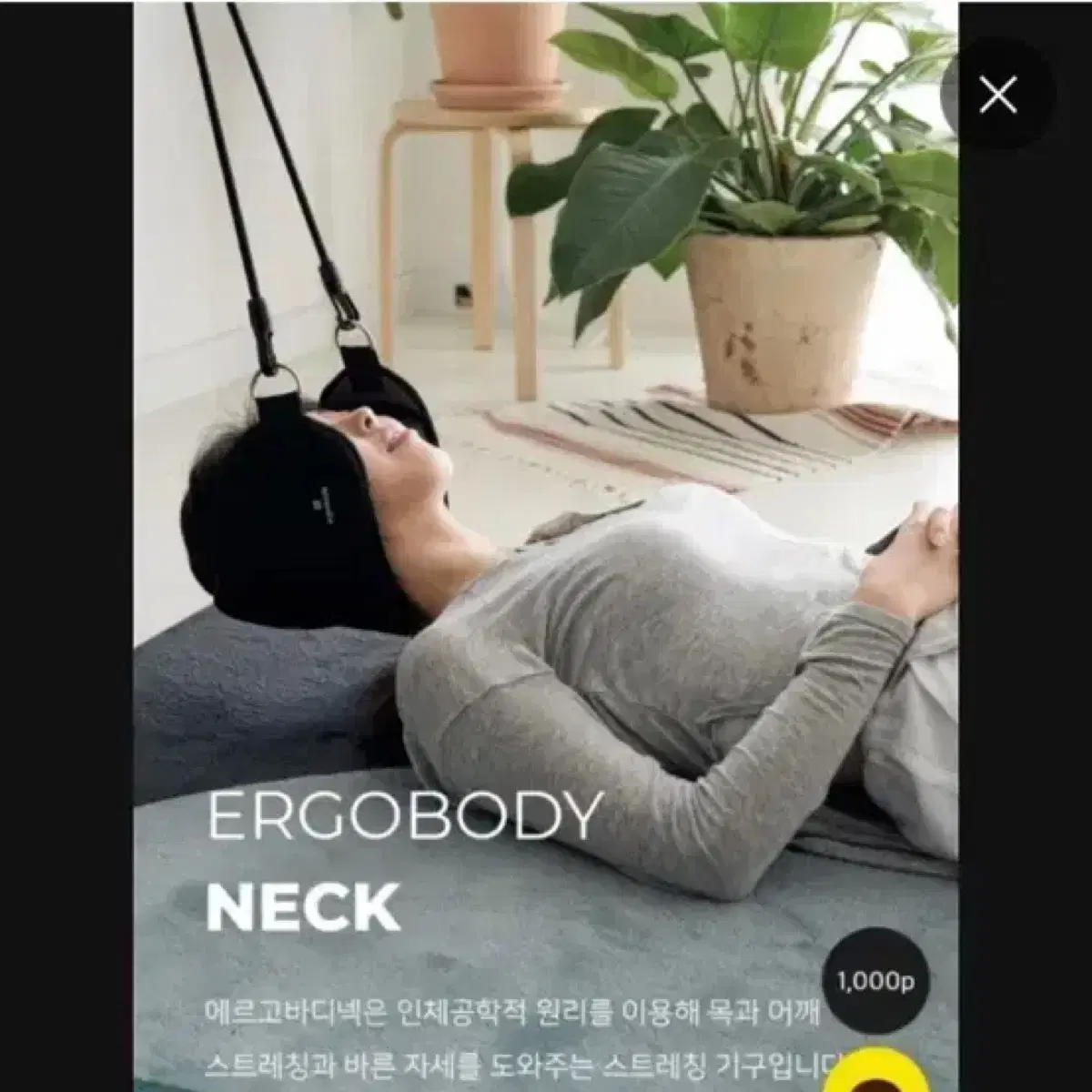 에르고바디 핏유어넥 목견인기