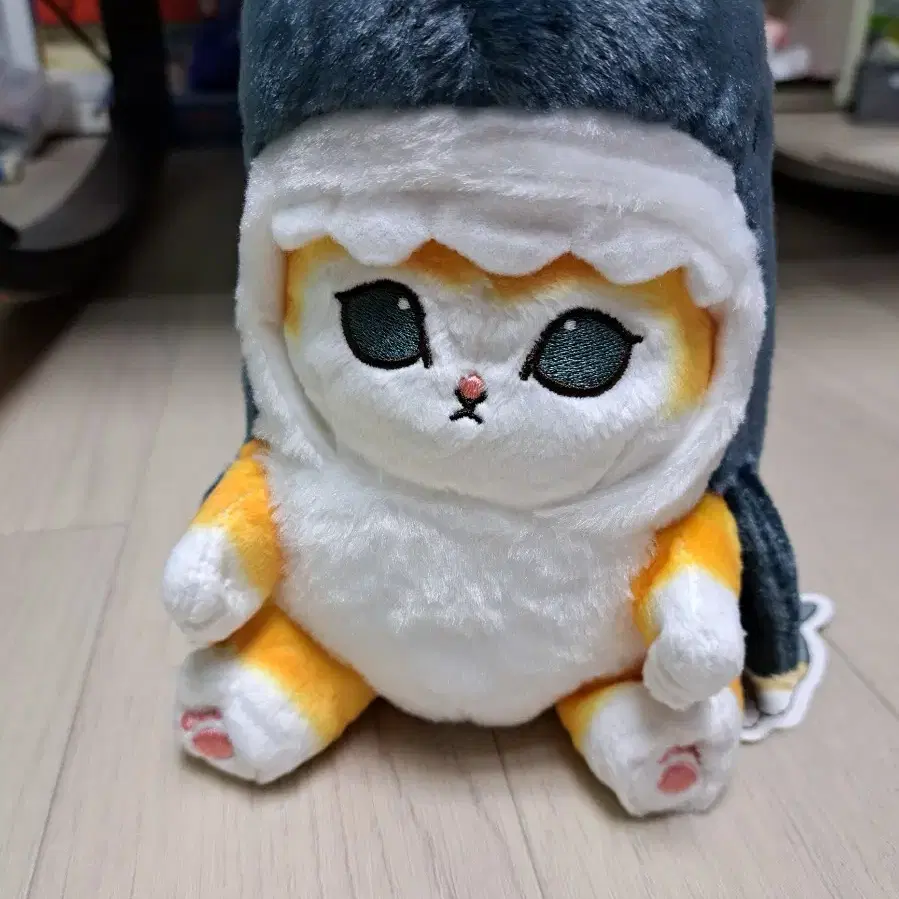 상어고양이 20cm