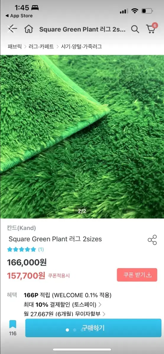 칸드 square green plant 러그