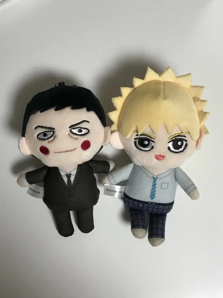 Mobsaiko Puchifu and Ekubo Teru Nui