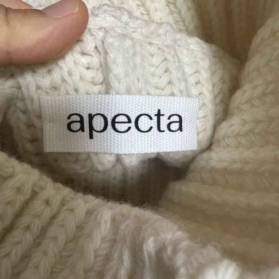 Apecta 아펙타 울 케이프