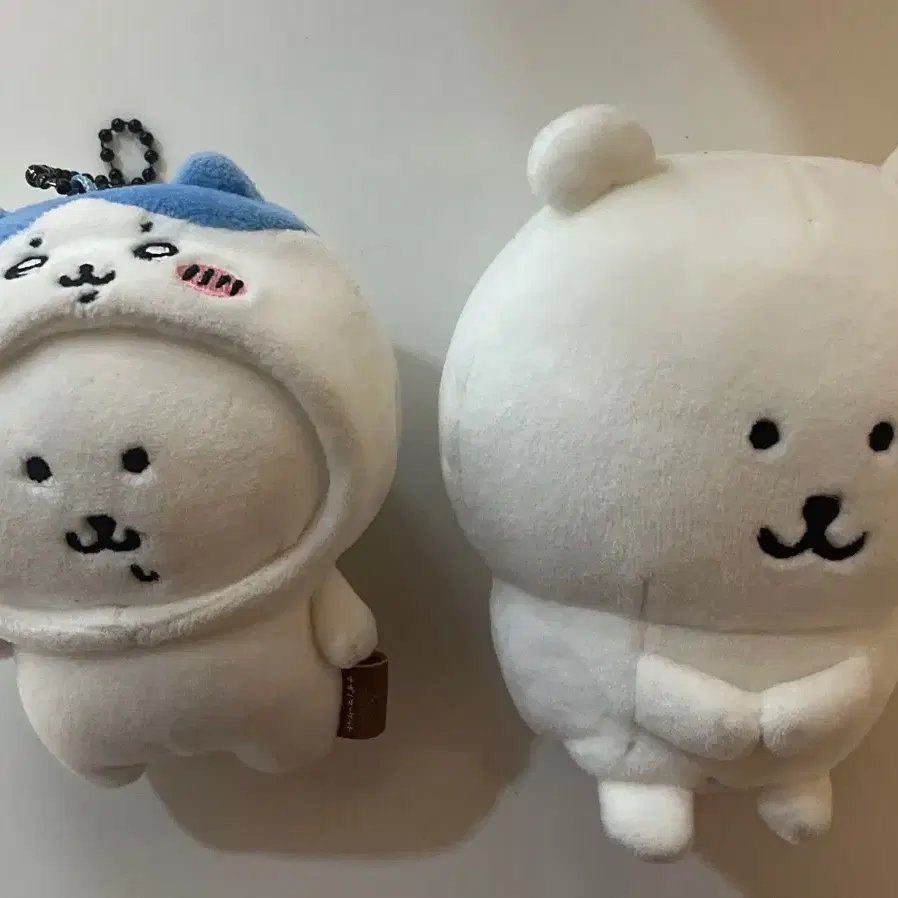 급처)농담곰 양도