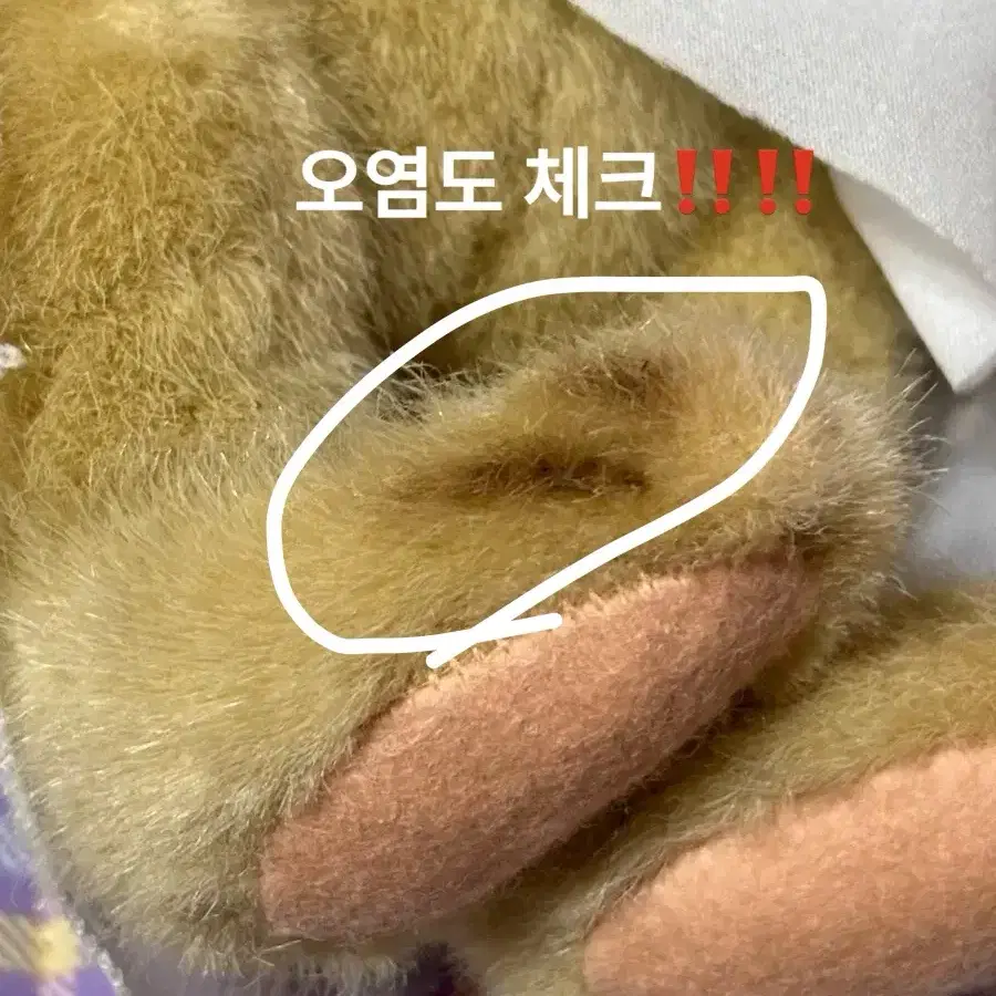 빈티지 머피베어 인형