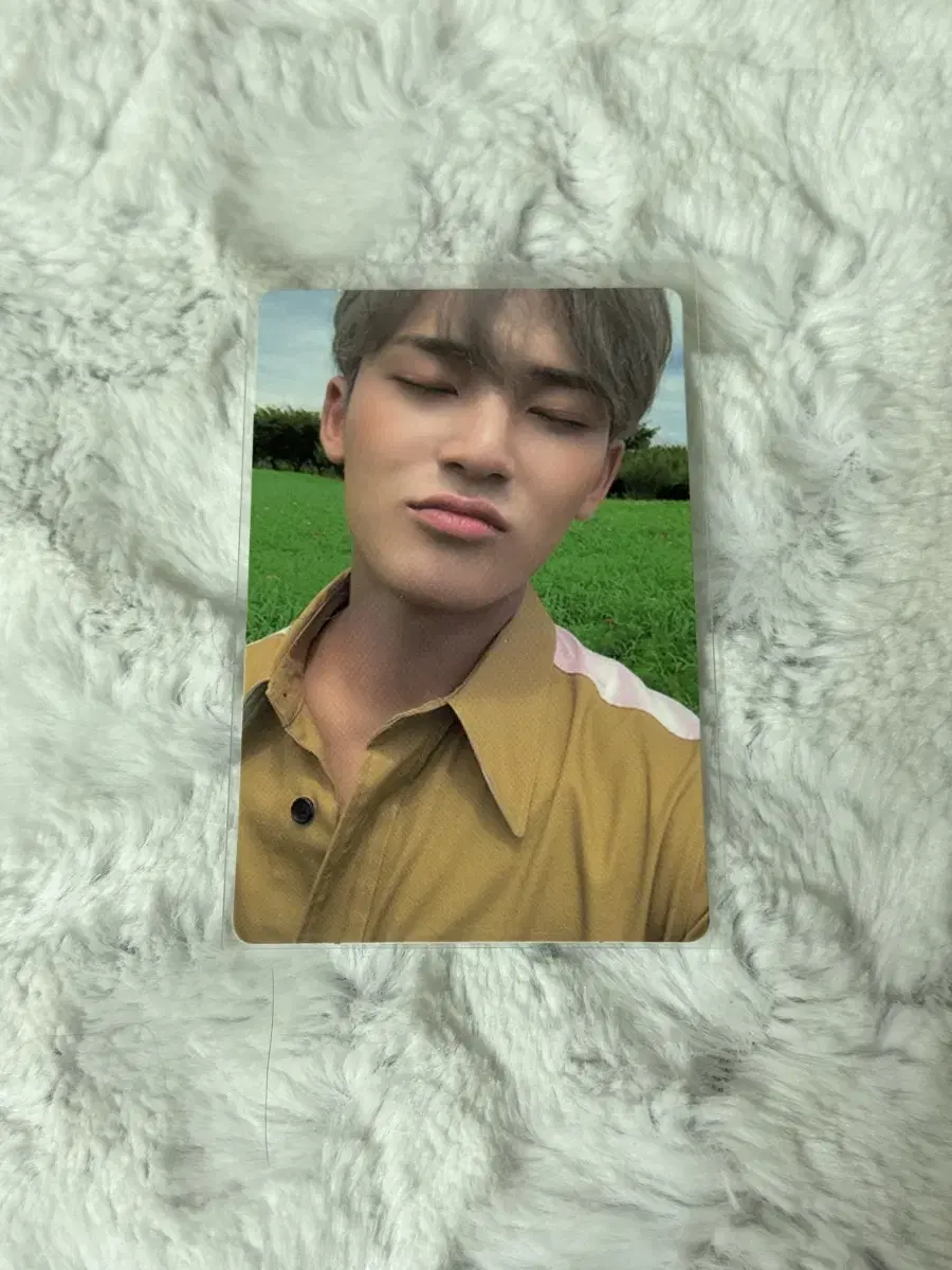 세븐틴 민규 호프 양도