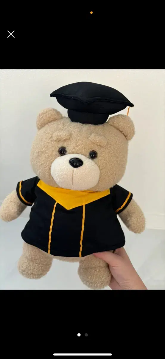 Teddy Bear Doll,Bachelor Momo,Graduation Doll