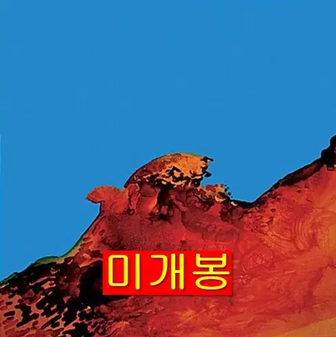 정차식 -  집행자 (미개봉, CD)